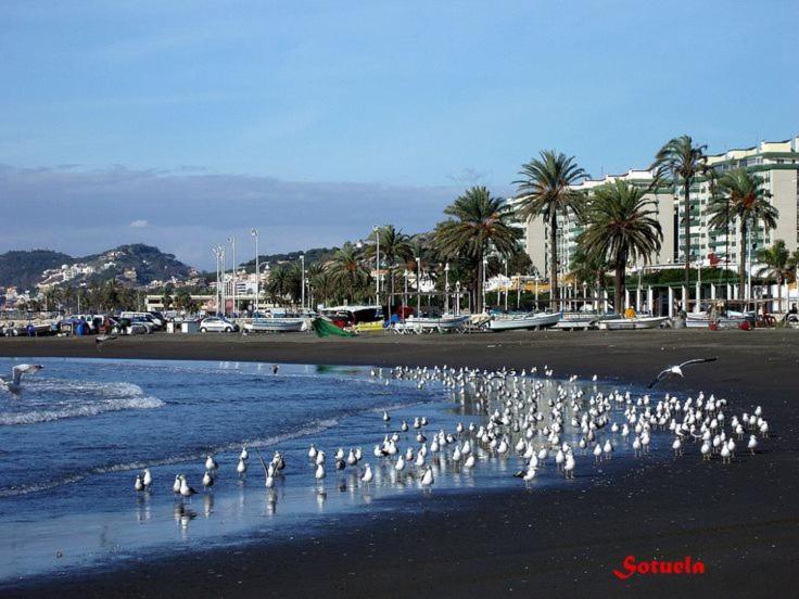 Apartamento Solymar Malaga Exterior photo
